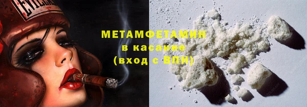 индика Бородино