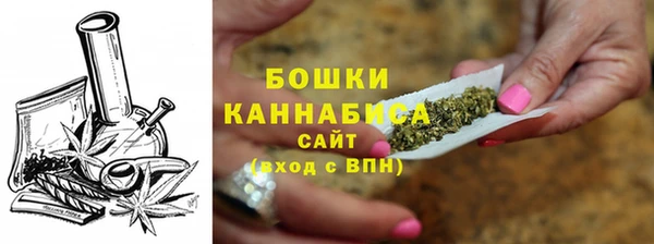 индика Бородино