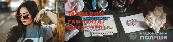 индика Бородино