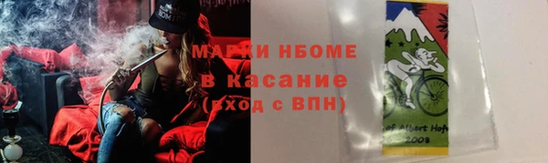 индика Бородино
