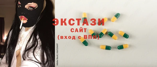 индика Бородино