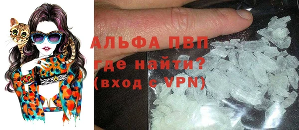 индика Бородино