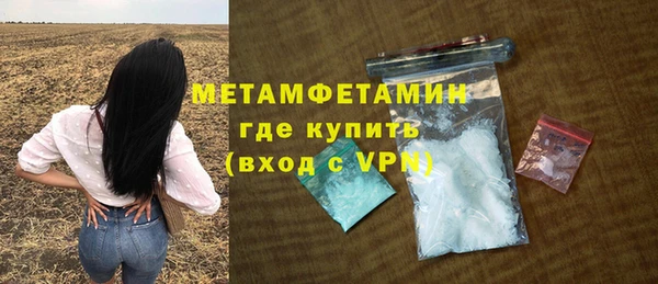 индика Бородино