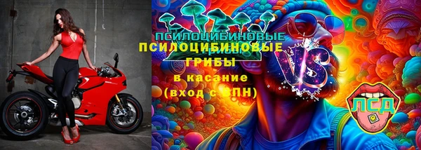 индика Бородино