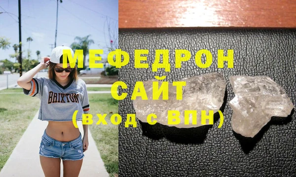 индика Бородино