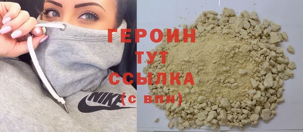 индика Бородино