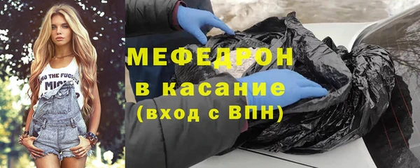 индика Бородино