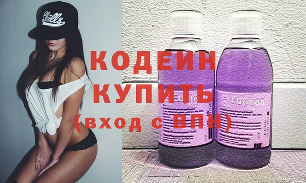 индика Бородино