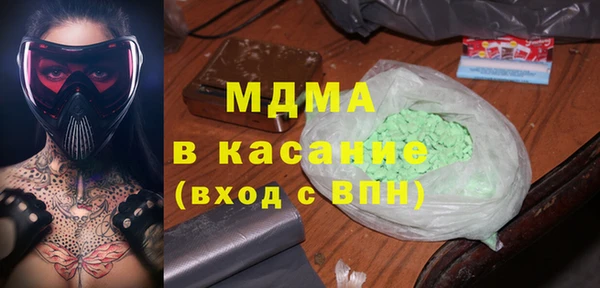 индика Бородино