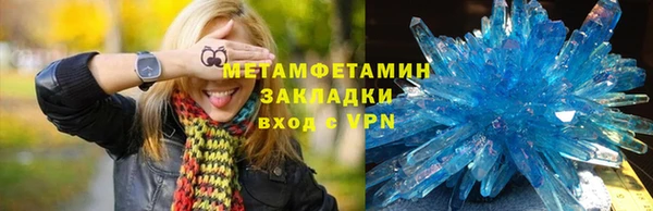 индика Бородино