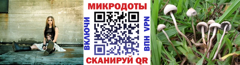 закладка  Кемерово  Псилоцибиновые грибы ЛСД 